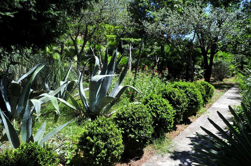Apartment Magnolia Rijeka Ngoại thất bức ảnh